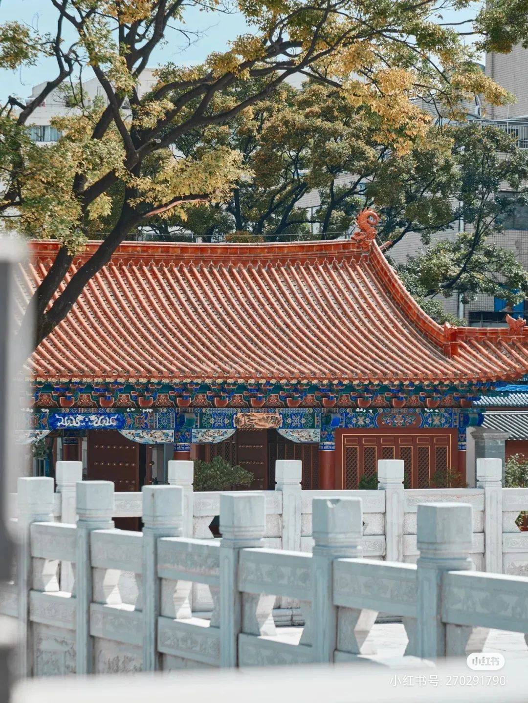 昆明公共文化云