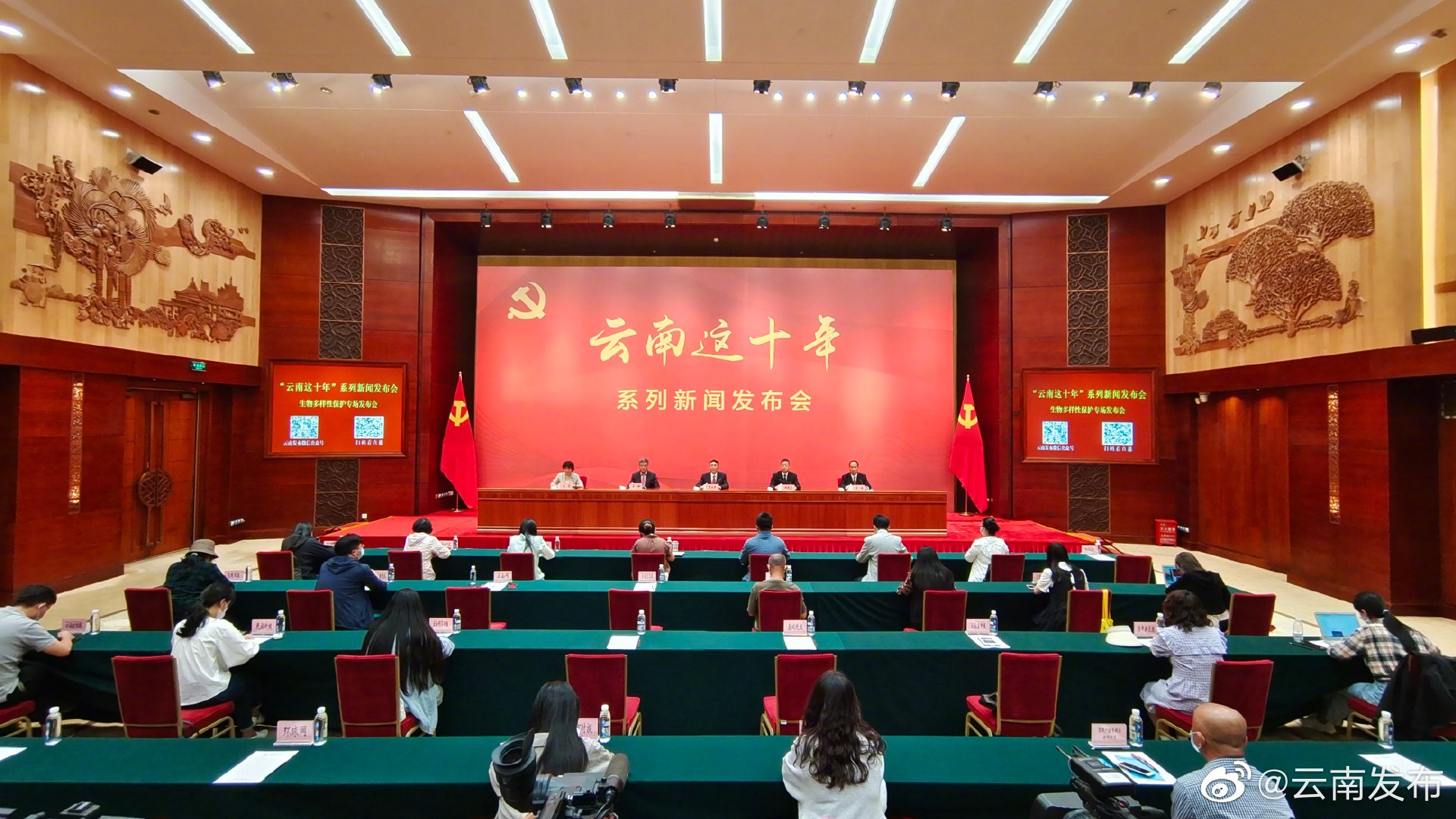 保护好“大象食堂”！云南修复改造亚洲象食源地9000多亩