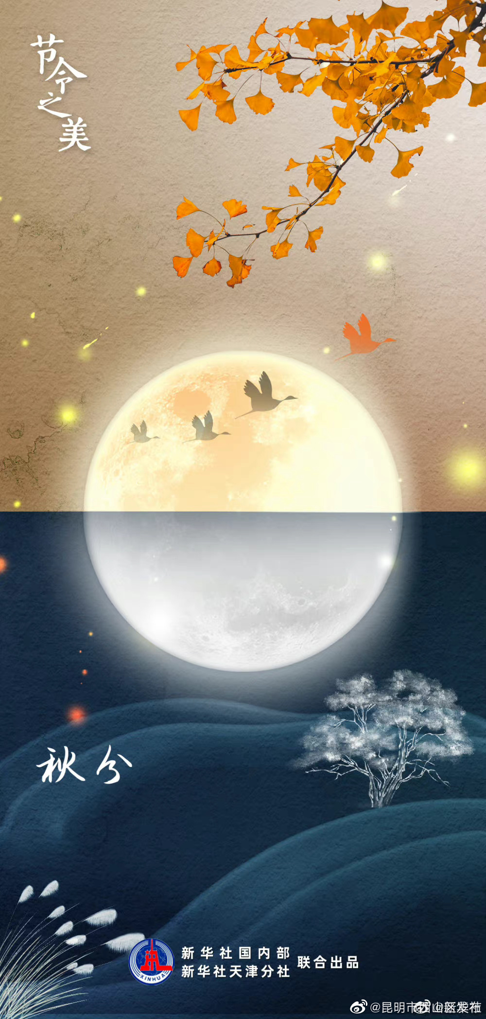 昆明市西山区发布