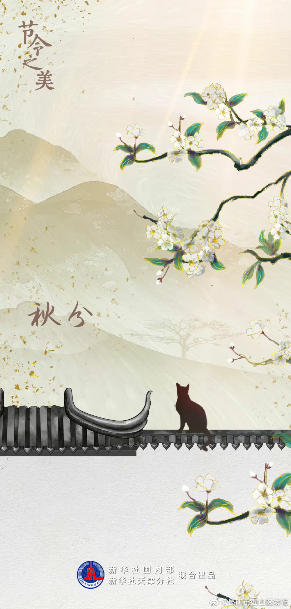 昆明市西山区发布