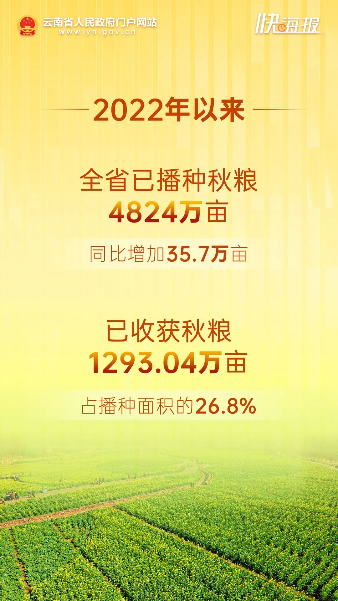 云南省人民政府网