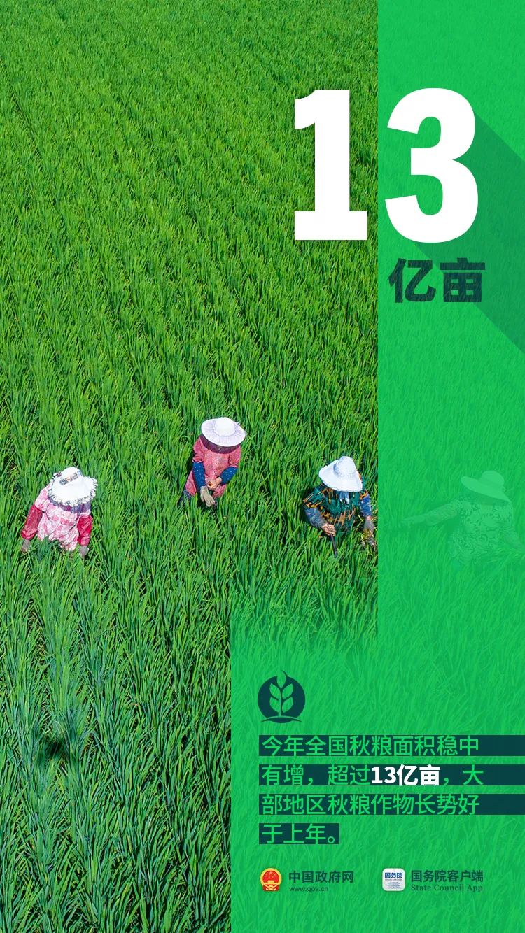 中华人民共和国中央人民政府