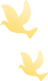 昆明五华发布