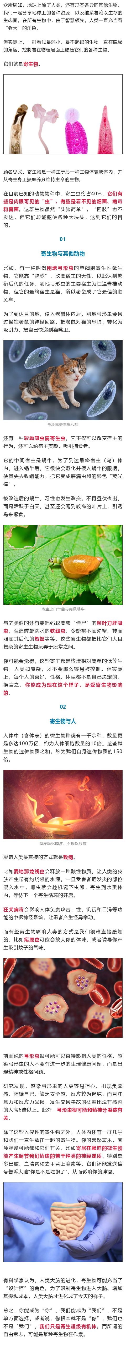 大理日报