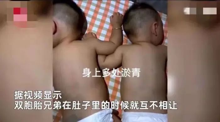 掌上春城