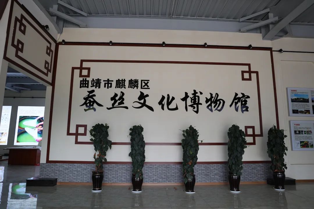 珠源先锋