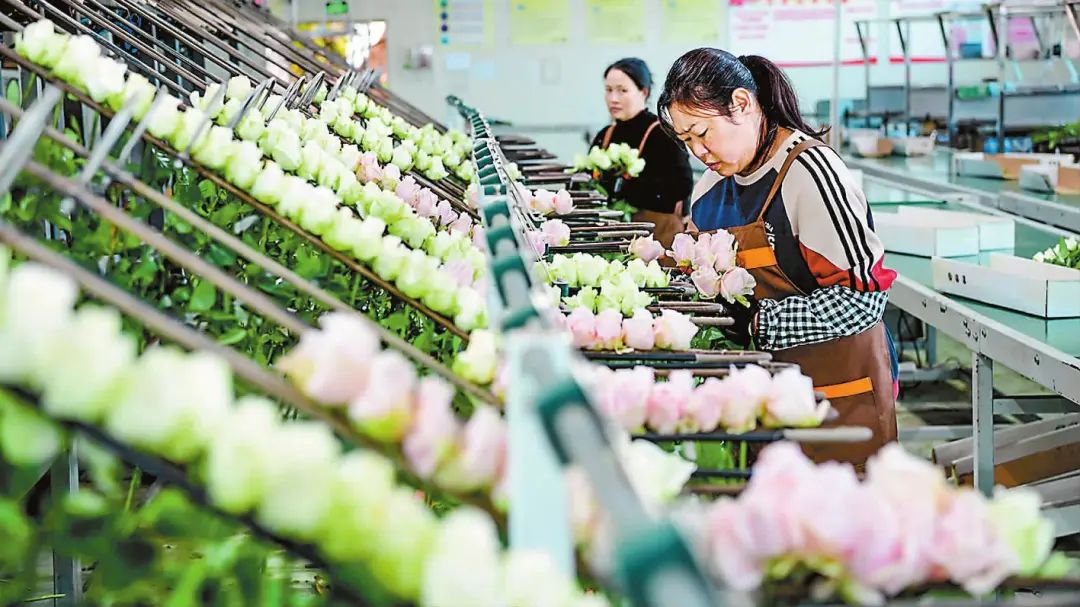 玉溪发布