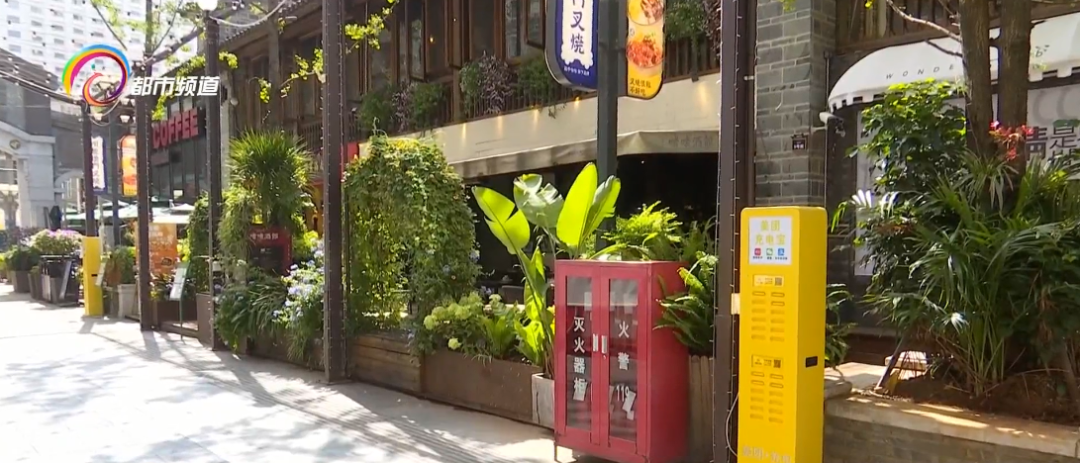 掌上春城