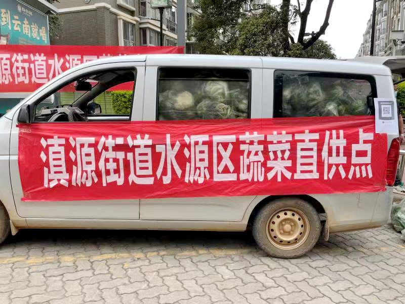 微观盘龙