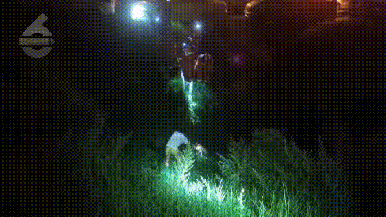 昆明信息港/cnkmxxg