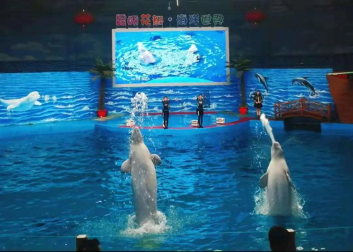昆明文旅