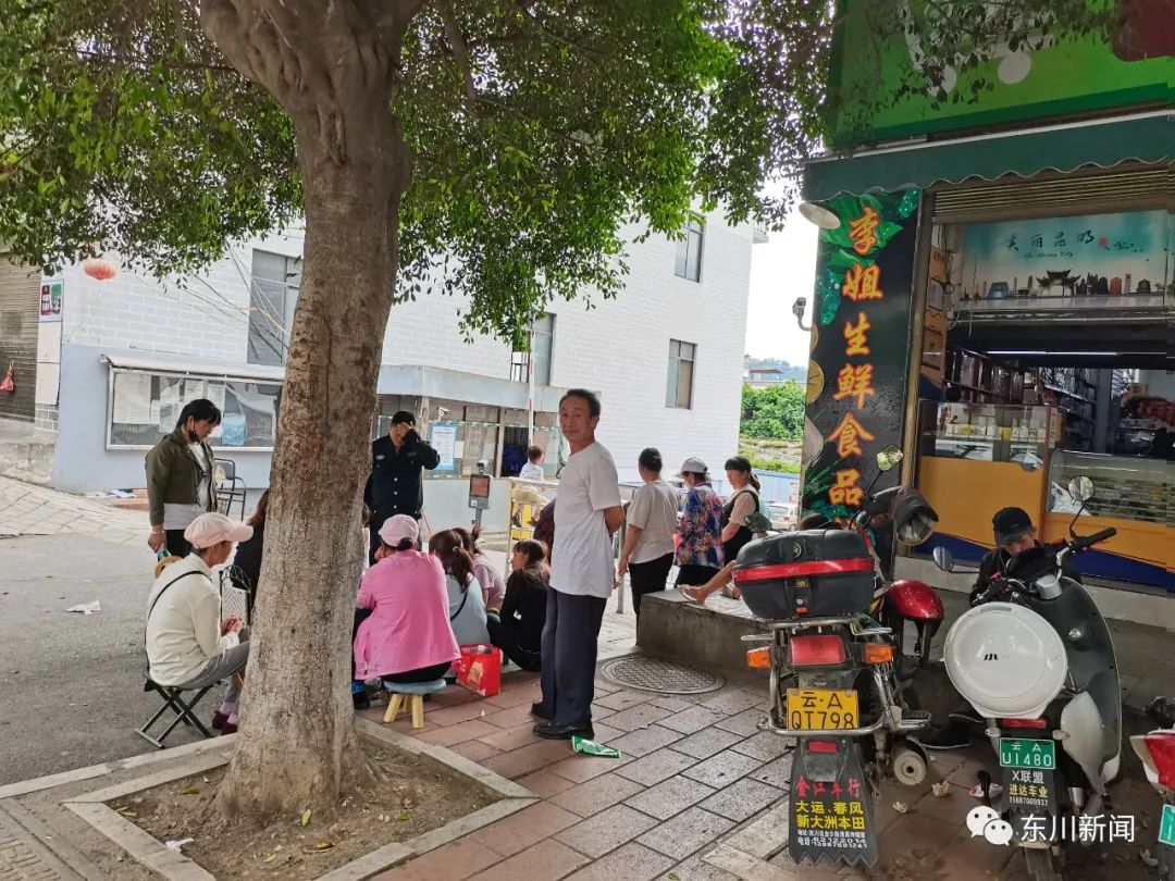东川新闻