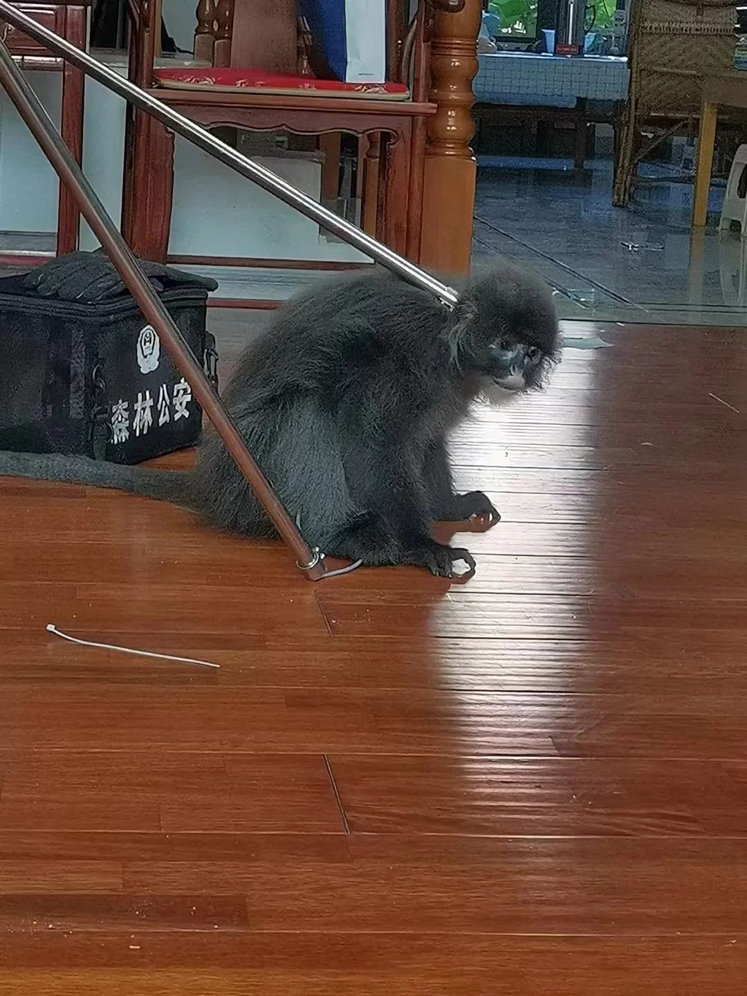 保山新闻网