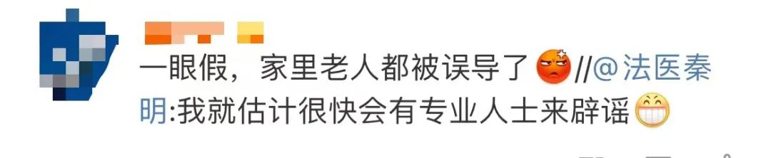 掌上春城