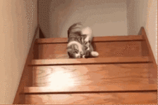 你需要七种有效休息,快来对号入座