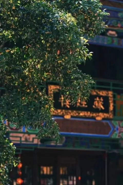 昆明文旅