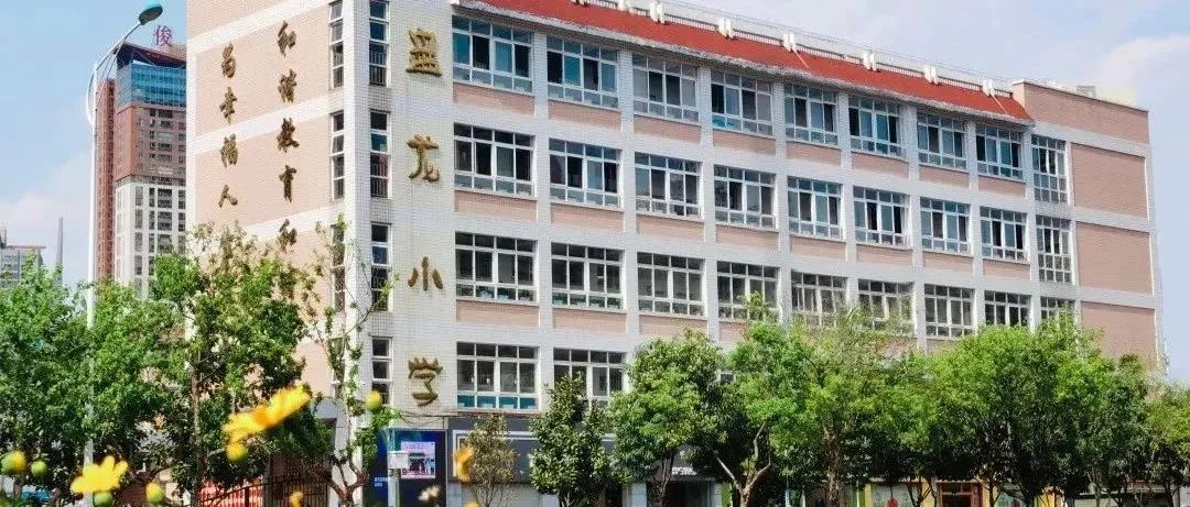 微观盘龙