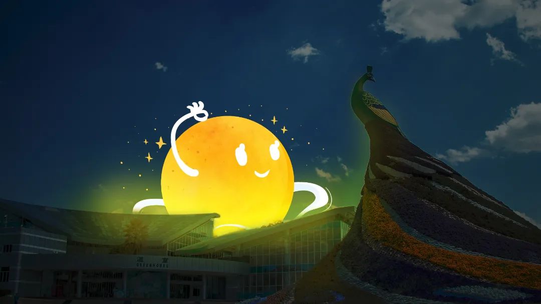 微观盘龙