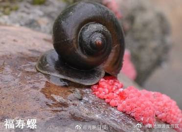 滇池旅游度假区