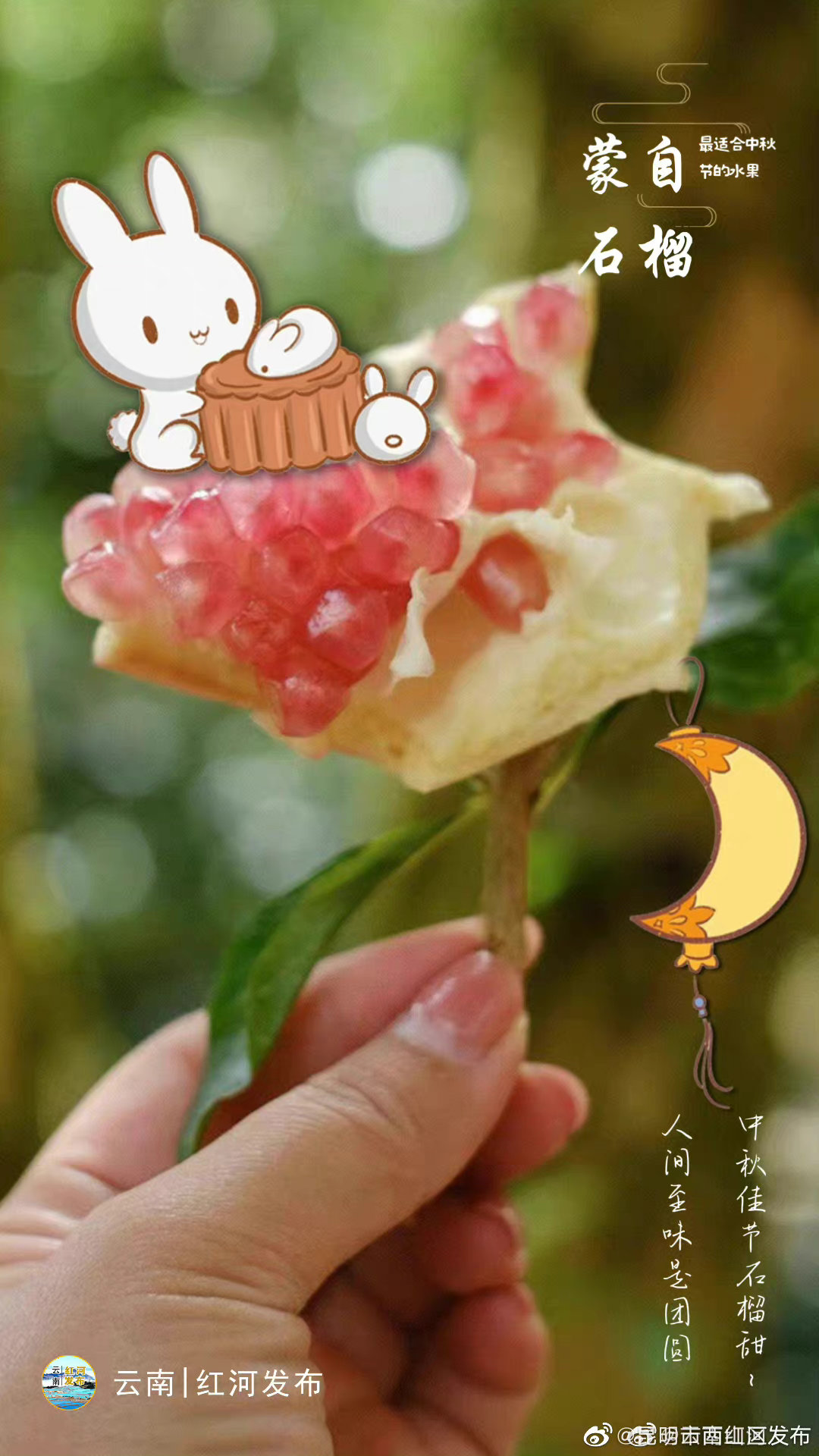 昆明市西山区发布