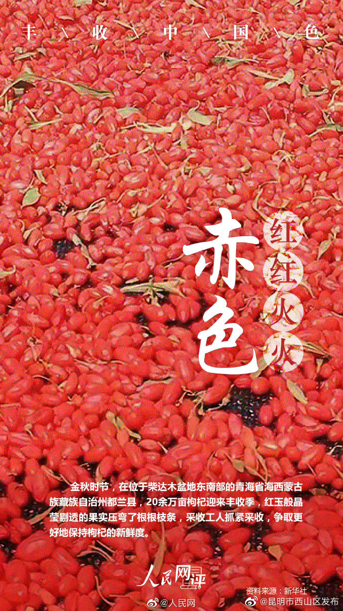 昆明市西山区发布