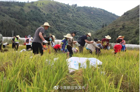 “昆明五华发布”微博