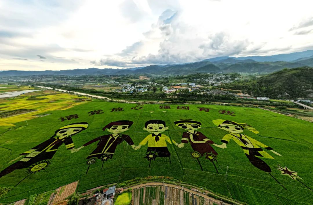 云南省文化和旅游厅