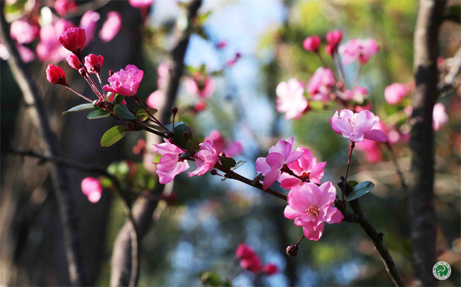 云南省文化和旅游厅