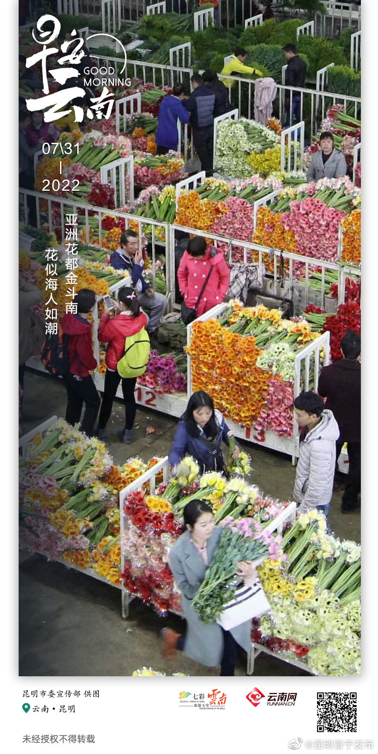 昆明斗南：花语彩云南 香飘达四海