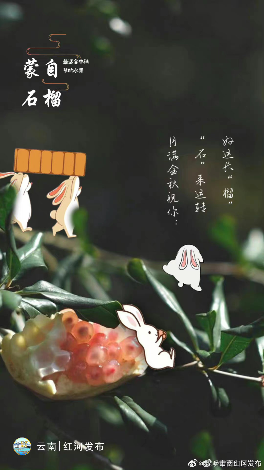 昆明市西山区发布