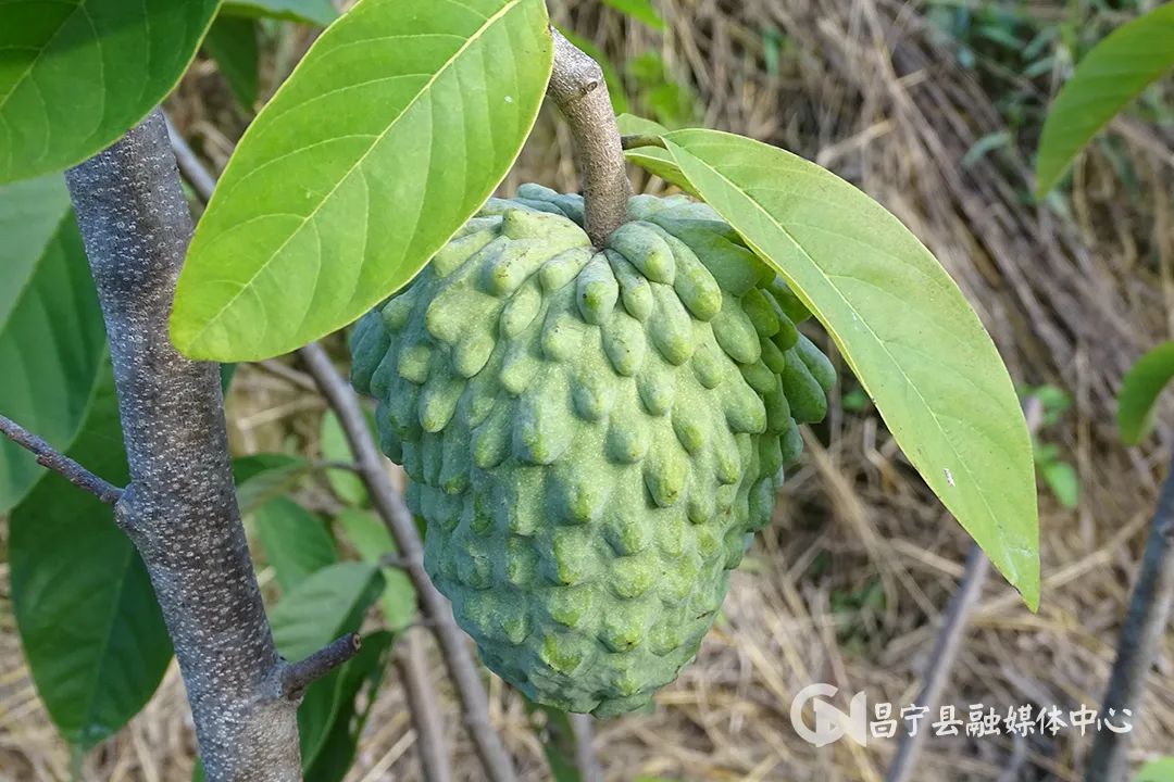 保山新闻网