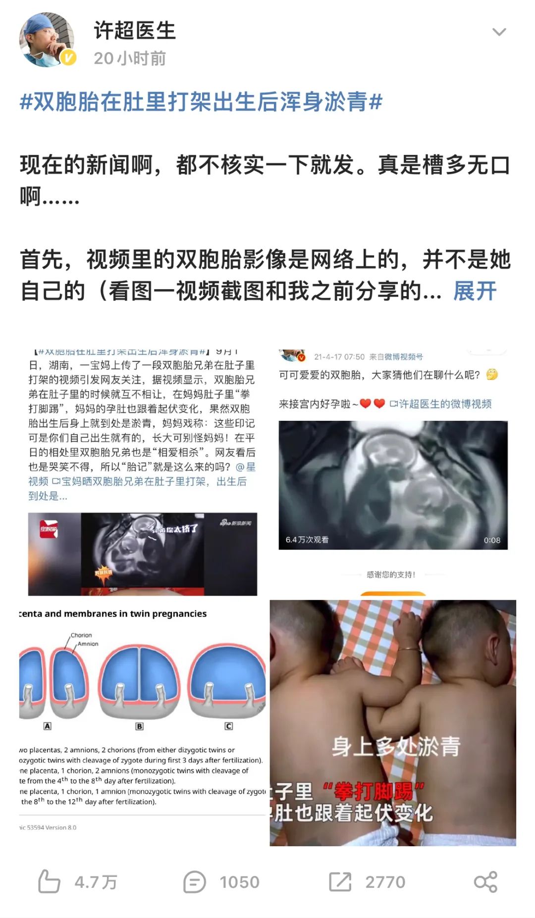掌上春城