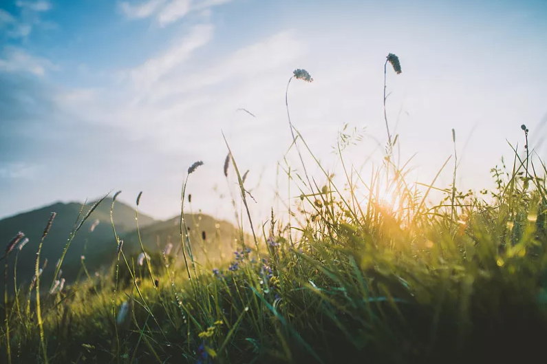 昆明公共文化云