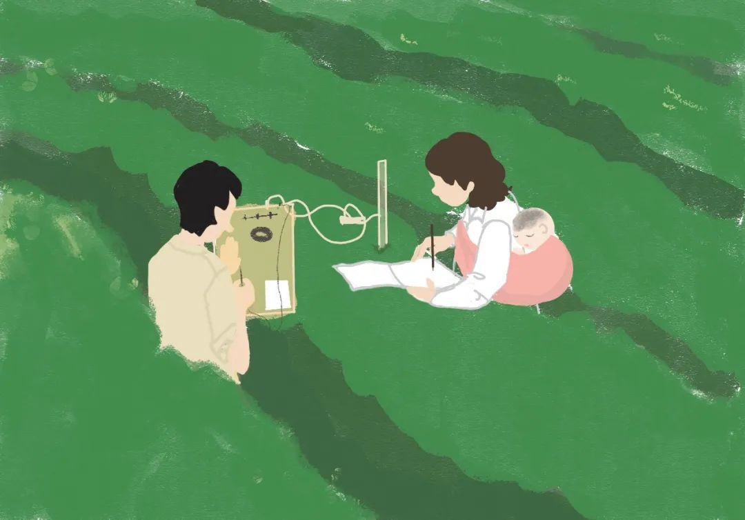 普洱日报
