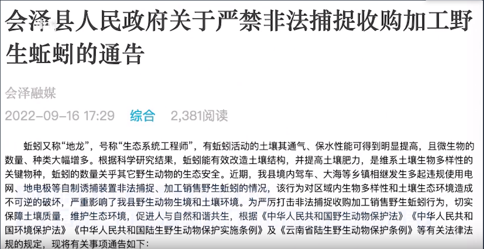 掌上春城