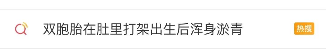 掌上春城