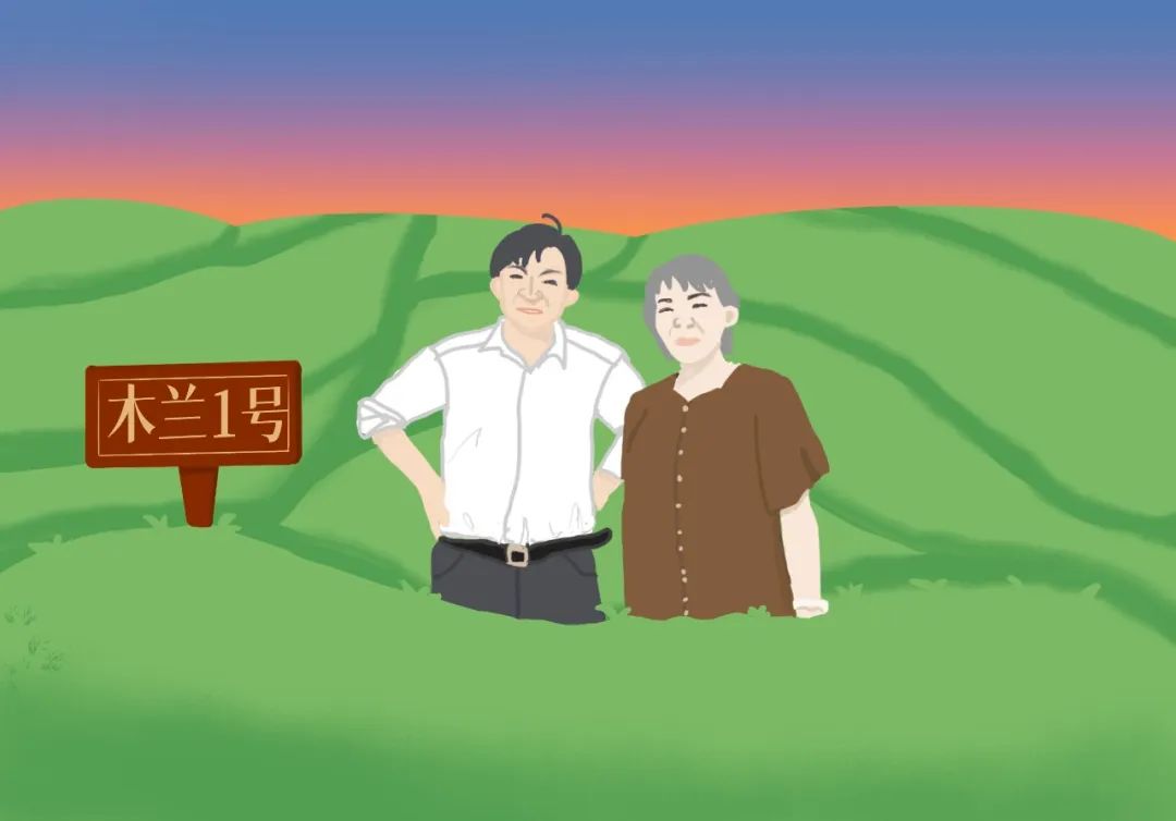 普洱日报