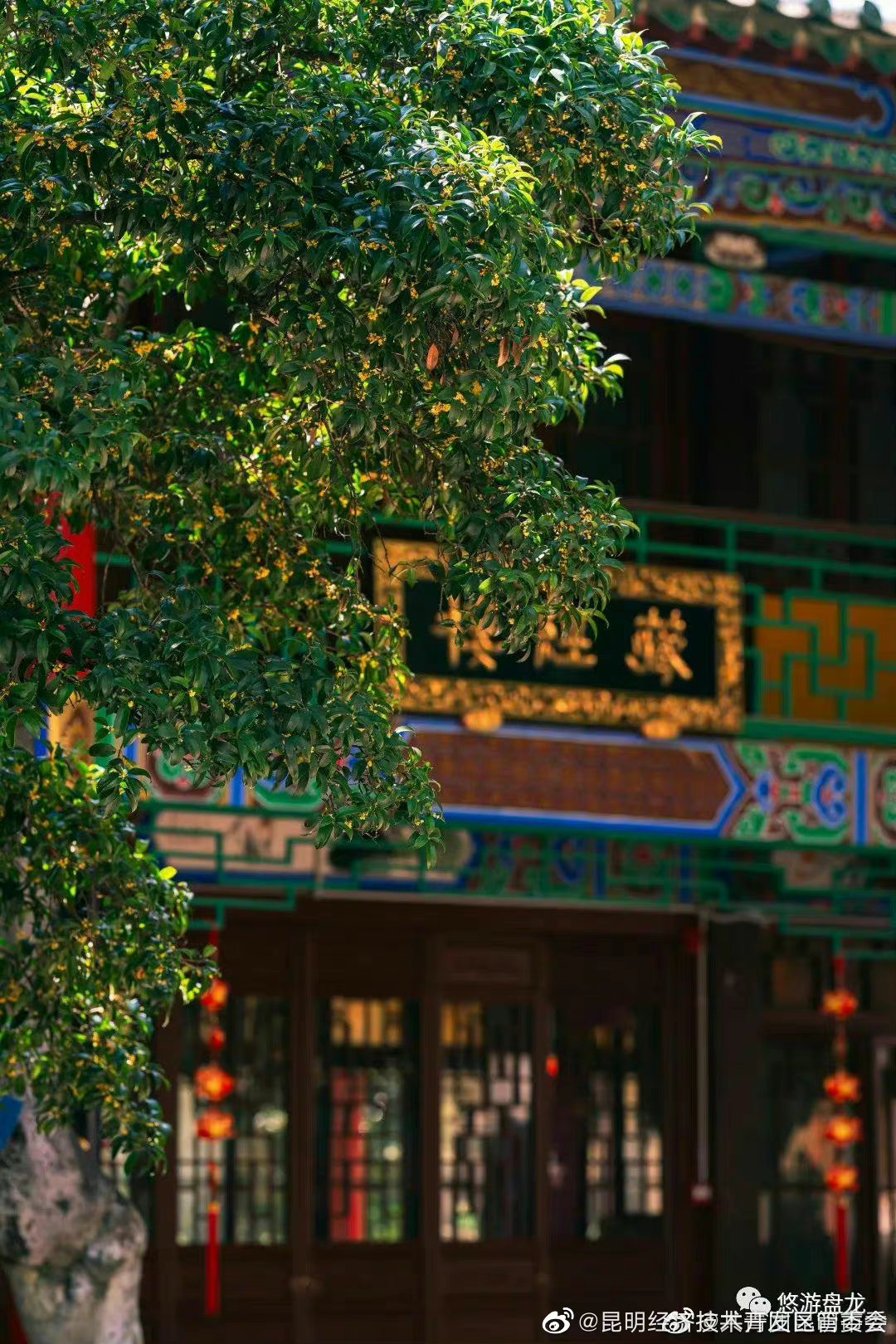 昆明经济技术开发区管委会