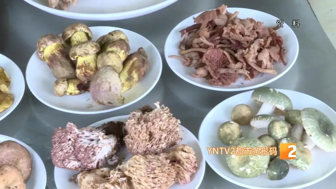 美丽云南微科普