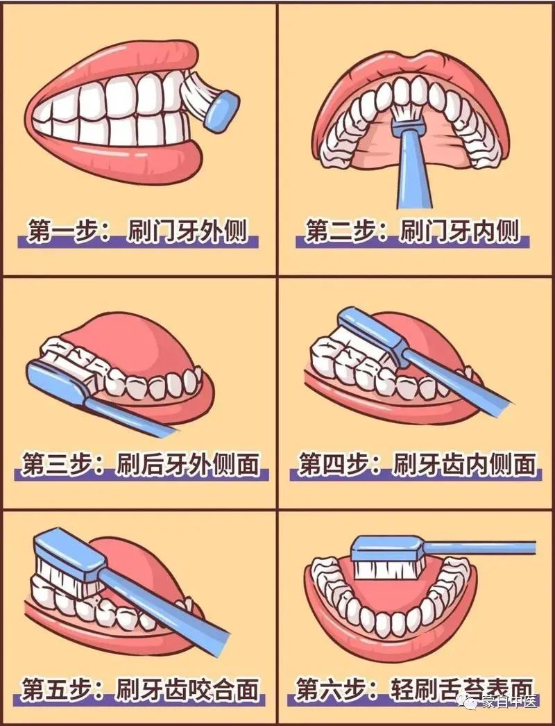 蒙自中医