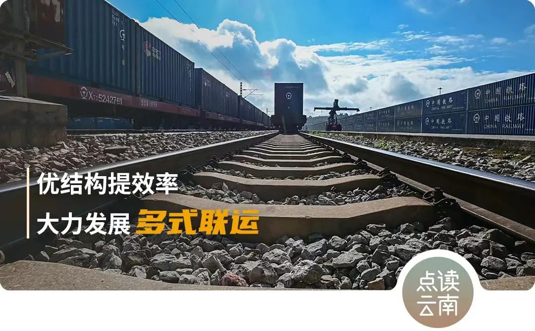 云南省人民政府网