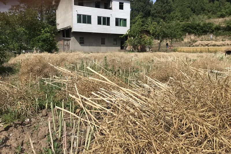 爱上富民