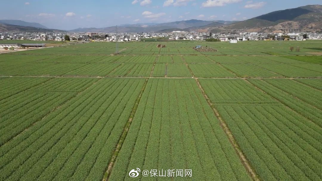 施甸孕育绿色“硒”望