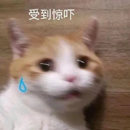 昆明交警