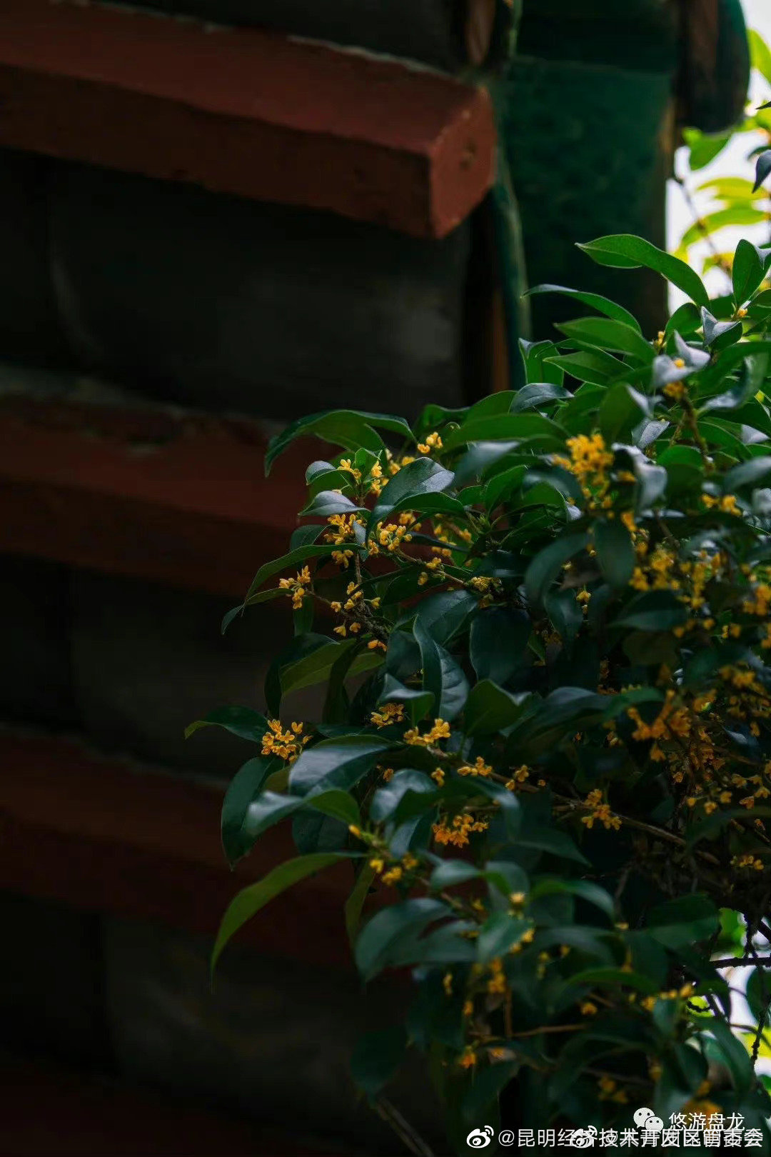 昆明经济技术开发区管委会