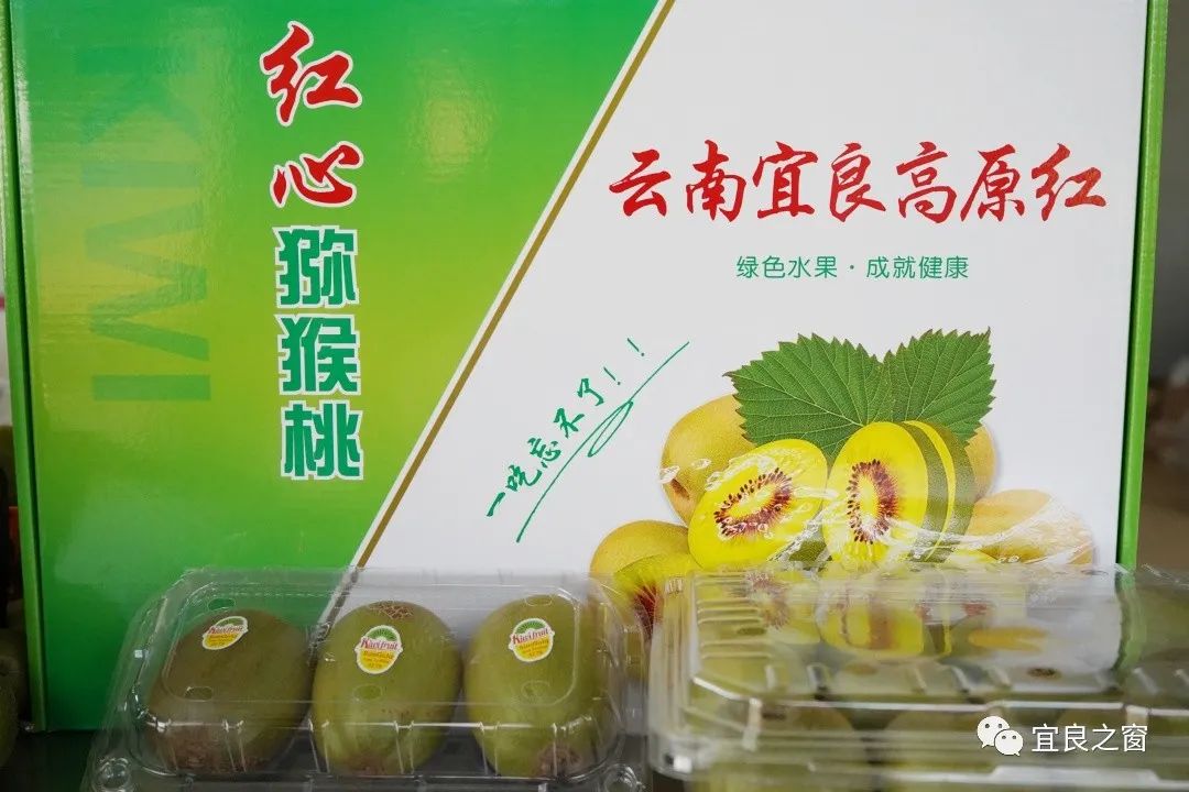 宜良之窗