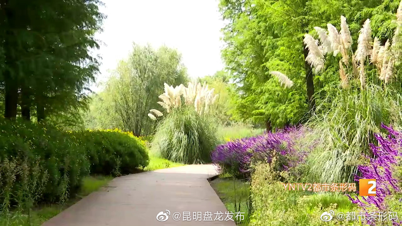 昆明盘龙发布