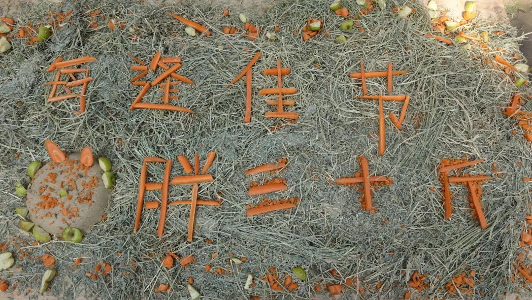 云南野生动物园
