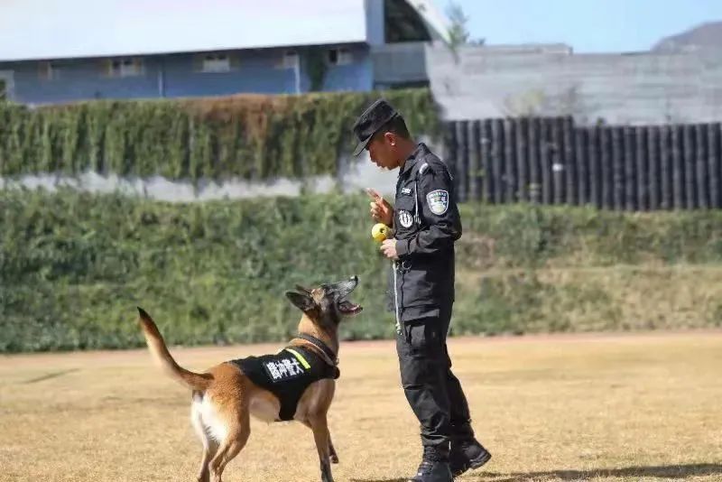 云南警方