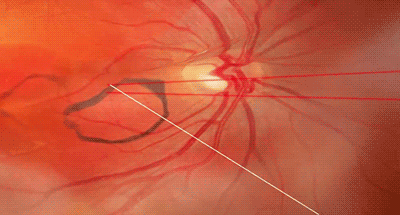 昆明市西山区发布